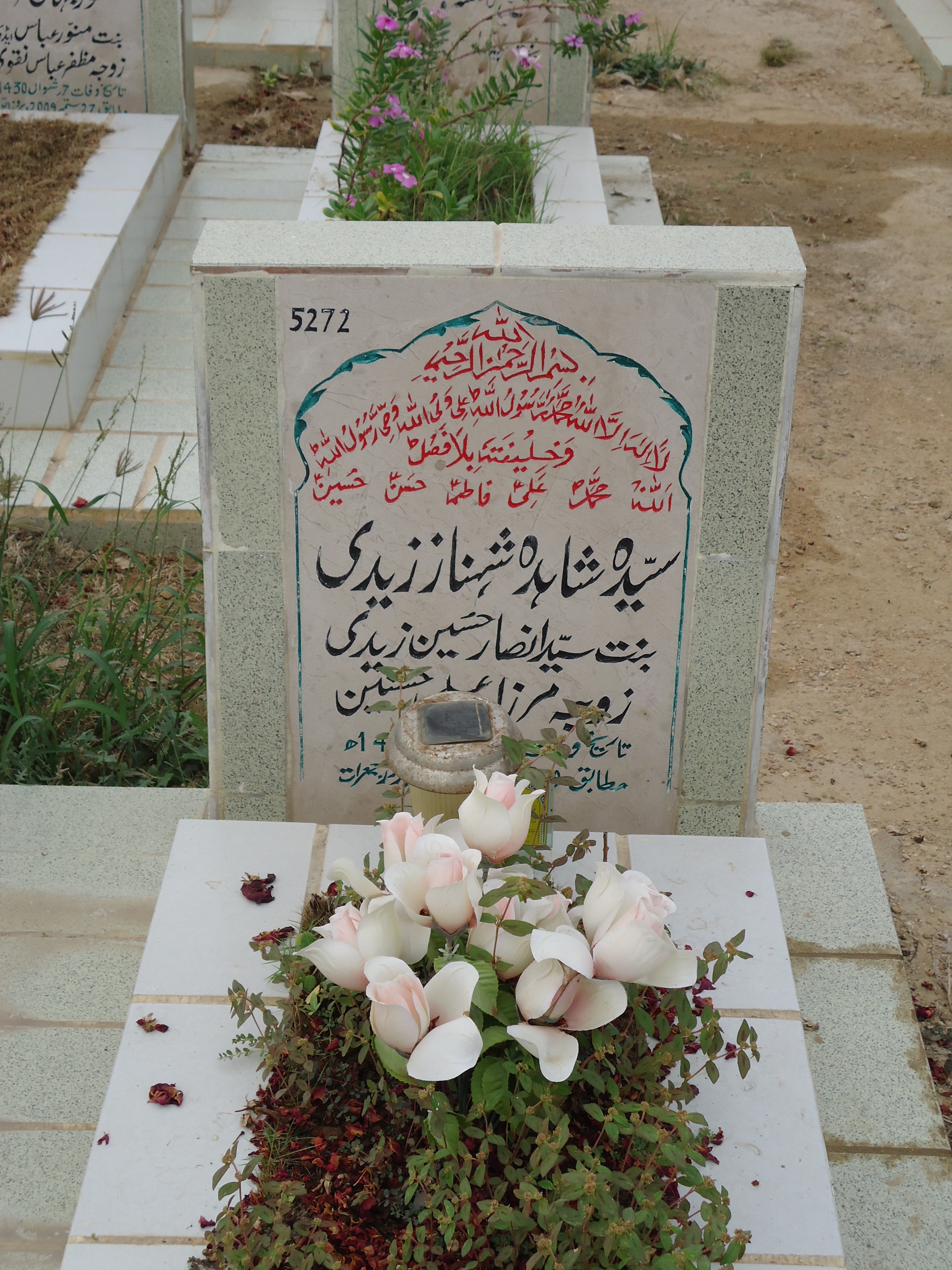 5272 – Syeda Shahida Shenaz Zaidi
